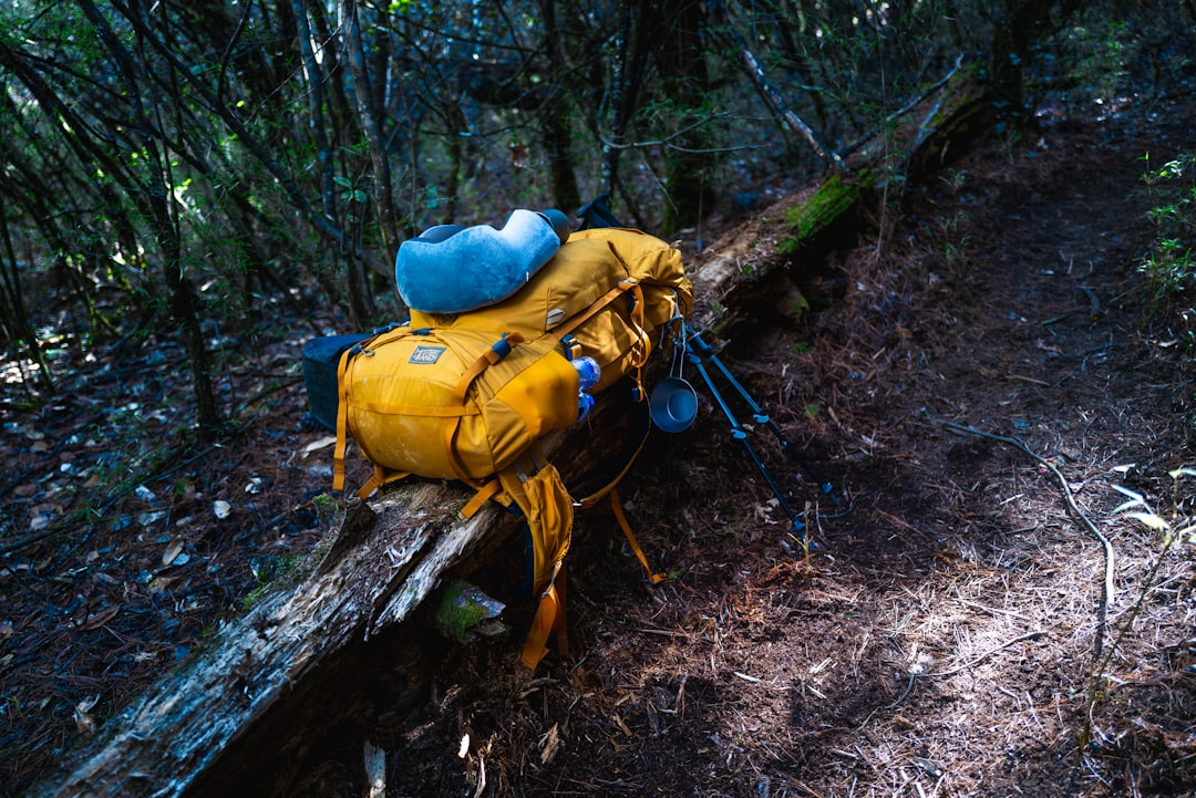 Why Quality Gear Matters for Frequent Travelers Why Quality Gear Matters for Frequent Travelers